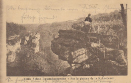 Luxembourg, Sur Le Plateau De La Kohlscheuer Gl1923? #F0611 - Andere & Zonder Classificatie