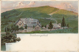 Feldberg Im Schwarzwald, Hotel Feldbergerhof Ngl #F0935 - Sonstige & Ohne Zuordnung