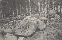 Große Steine, KLeinenkneten Bei Wildeshausen Ngl #F1078 - Otros & Sin Clasificación