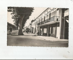 MAUBOURGUET (HAUTES PYRENEES) CARTE PHOTO LES ALLEES COTE OUEST (MAGASIN BELLE JARDINIERE DE MAUBOURGUET) - Maubourguet