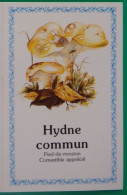 Petit Calendrier De Poche 1990 Champignon Hydne Commun Pharmacie St Clément La Rivière Hérault - Formato Piccolo : 1981-90