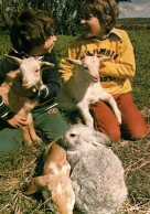 18734 Petites Chèvres  Et Lapins  ( Lapin  Enfants Chèvre )  (2 Scans) - Sonstige & Ohne Zuordnung