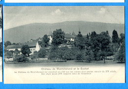 VIX067, Château De Montcherand Et Le Suchet, Non Circulée - Montcherand