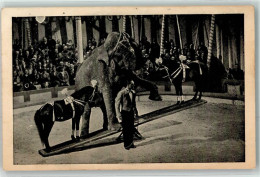 13949007 - Elefant Und Pony Dressur In Der Manege AK - Circus