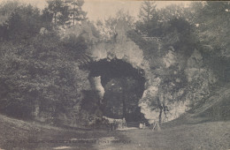 BRUXELLES.    BOIS DE LA CHAMBRE ,LE PONT RUSTIQUE       ZIE AFBEELDINGEN - Foreste, Parchi, Giardini