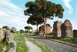 *CPM - ITALIE - LATIUM - ROME - Rue Appia Antica - Andere & Zonder Classificatie