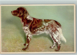 12086407 - Hunde Schoene AK Von Einem - Honden