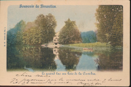 BRUXELLES.  LE GRAND LAC AU BOIS DE LA CHAMBRE      ZIE AFBEELDINGEN - Foreste, Parchi, Giardini