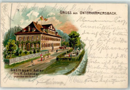 13628307 - Unterharmersbach - Autres & Non Classés