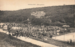 Mers Les Bains * Bois De Cise * Vue Générale Sur La Commune * Fête Religieuse * Cours De Tennis - Mers Les Bains