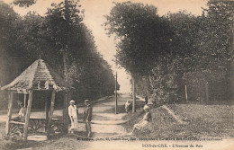 Ault * Bois De Cise * L'avenue Du Bois * Promeneurs - Ault