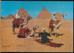 °°° 30862 - EGYPT - GIZA - ARAB CAMELRIDERS IN FRONT OF THE PYRAMIDS °°° - Guiza