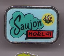 Pin's Ville De Saujon Noël 91 Roseau Et Oiseau Dpt 17 Réf  1032 - Ciudades