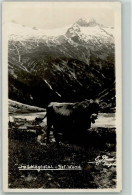 39159307 - - Cows