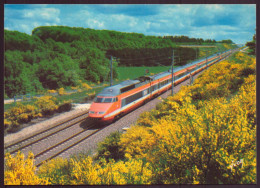 TGV TRAIN A GRANDE VITESSE DE LA SNCF - Eisenbahnen