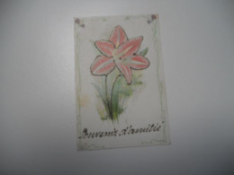 CARTE ANCIENNE EN COULEUR  DE 1908 FETE SOUVENIR D'AMITIE FLEUR GENRE LYS + Paillettes //////TBE - Other & Unclassified