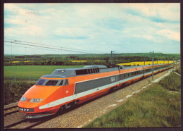 TGV TRAIN A GRANDE VITESSE DE LA SNCF - Treinen