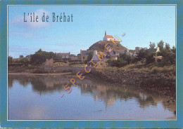 22. L'ILE DE BREHAT – L'étang Du Birlot Et La Chapelle Saint-Michel - Ile De Bréhat