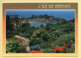 22. ILE DE BREHAT – L’île Des Fleurs Et Des Rochers Roses – La Pointe De Guerzido (voir Scan Recto/verso) - Ile De Bréhat