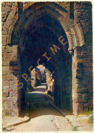 22. DINAN – La Porte Du Jerzual Vers Le Pont Gothique Et La Rance – CPSM - Dinan