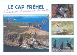 22. LE CAP FREHEL – Réserve D'oiseaux De Mer – Multivues - Cap Frehel