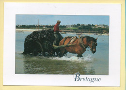 22. Bretagne / Charretée De Goémon (animée) (voir Scan Recto/verso) - Autres & Non Classés