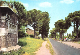 ROMA - N°429 Kodak - Via Appia Antica - Sonstige & Ohne Zuordnung