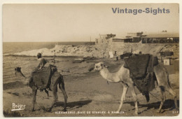 Alexandria / Egypt: Bay From Stanley To Ramleh / Camels (Vintage RPPC 1920s) - Other & Unclassified