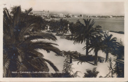 CANNES. LES JARDINS DE LA CROISETTE.   CARTE PHOTO    ZIE AFBEELDINGEN - Sonstige & Ohne Zuordnung