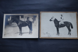 2 Photos Cheval De Course QUE FAIRE 1913 - Ancianas (antes De 1900)