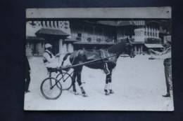 Photo Cheval De Course Course Trot Attelé "Quelle Vaine - Ancianas (antes De 1900)