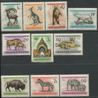 Hungary:Unused Stamps Serie Animals, Bear, Polar Bear, Bison, Zebra, Elephants, Tiger, Zoo, 1961, MNH - Other & Unclassified