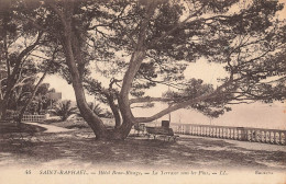 St Raphaël * Hôtel BEAU RIVAGE * La Terrasse Sous Les Pins * Arbre Tree - Saint-Raphaël