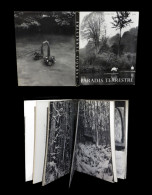 [PHOTOGRAPHIE] COLETTE (textes De) / BIDERMANAS (Izis) - Paradis Terrestre. EO Num. - Art