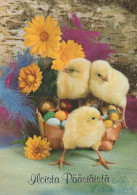 PASQUA POLLO UOVO Vintage Cartolina CPSM #PBO603.A - Easter