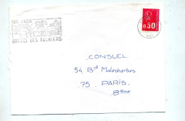 Lettre Flamme ?? Hyeres Palmiers - Mechanical Postmarks (Advertisement)