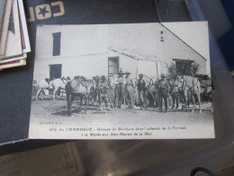 En Camargue Groupe De Gardians Dans L Attente De La Ferrede A La Maree Aux Stes Maries De La Mer - Autres & Non Classés