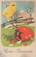 EASTER CHICKEN EGG Vintage Postcard CPA #PKE276.A - Pascua