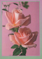 FLOWERS Vintage Postcard CPSM #PBZ354.A - Fiori