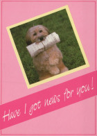 HUND Tier Vintage Ansichtskarte Postkarte CPSM #PAN926.A - Dogs