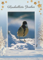 VOGEL Tier Vintage Ansichtskarte Postkarte CPSM #PAN401.A - Vögel