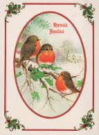 UCCELLO Animale Vintage Cartolina CPSM #PAM908.A - Vögel