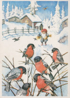 UCCELLO Animale Vintage Cartolina CPSM #PAM773.A - Vögel