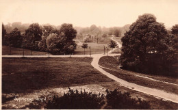 ROYAUME-UNI - Hampstead Heath - Vue Générale - Allée - Forêt - Paysage - Carte Postale Ancienne - Altri & Non Classificati