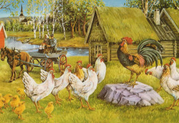 UCCELLO Animale Vintage Cartolina CPSM #PBR586.A - Vögel