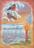 Buon Anno Natale UCCELLO Vintage Cartolina CPSM #PBM681.A - Nieuwjaar