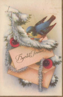 OISEAU Vintage Carte Postale CPSMPF #PKG967.A - Oiseaux