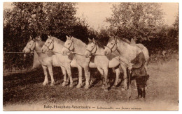 Vétérinaire. Baby-Phosphate-Vétérinaire, Pour Les Jeunes Animaux. Médicament Pour Chiens Et Chevaux - Werbepostkarten