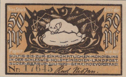 50 PFENNIG 1920 Stadt SÜDERBRARUP Schleswig-Holstein DEUTSCHLAND Notgeld #PG064 - Lokale Ausgaben