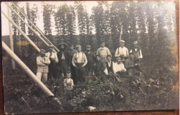 Cpa Photo Militaria Soldat Bellugue De Faux 24 Scène Agricole Récolte Du Houblon Prisonniers? Allemagne?21 Côte D'Or? - Other & Unclassified